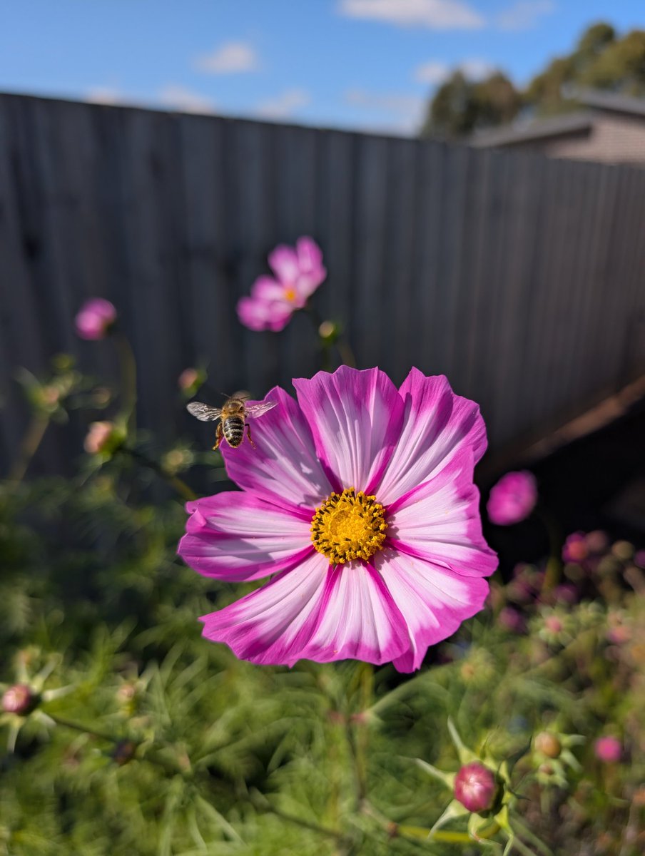 John Sheely tweet media