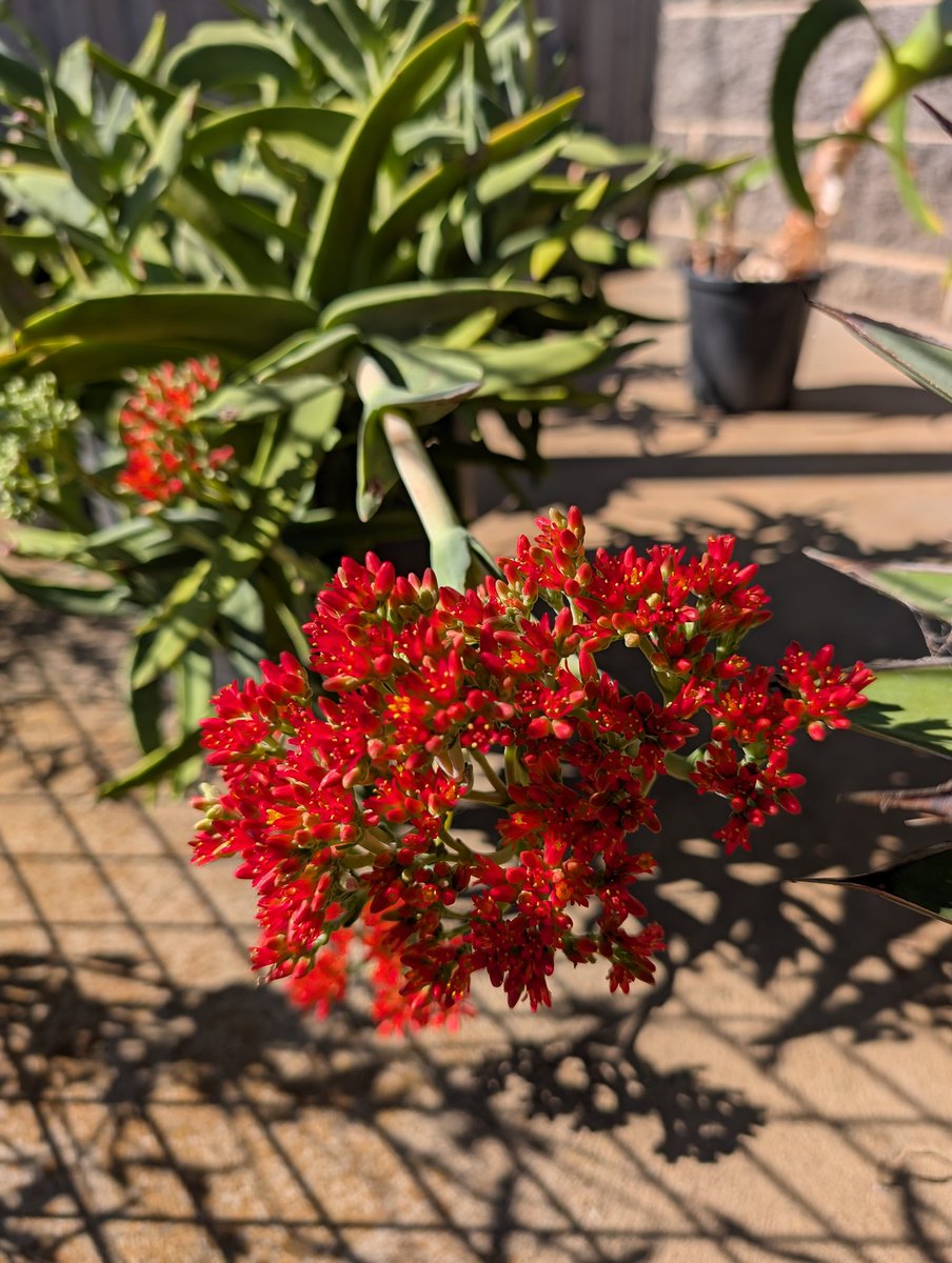 John Sheely tweet media