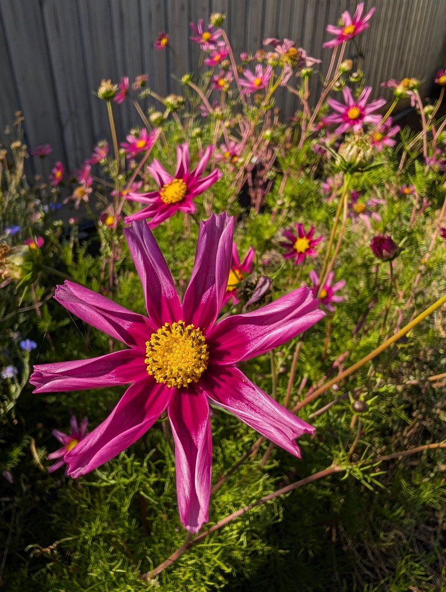 John Sheely tweet media