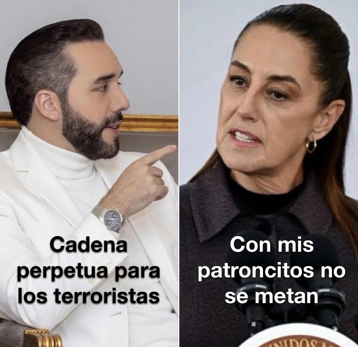 𝕌𝕟 𝕜𝕒𝕔𝕙𝕠 𝕕𝕖 𝕃𝕚𝕓𝕖𝕣𝕥𝕒𝕕 tweet media