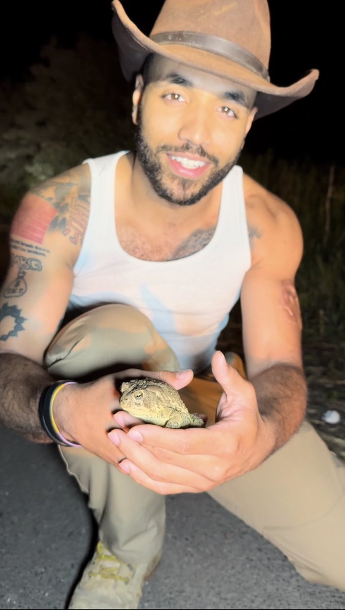 Crocodile Cam⚡️🇨🇻 tweet media