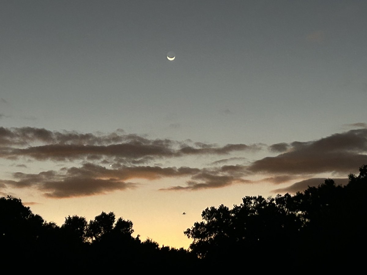 Nonentity. tweet media