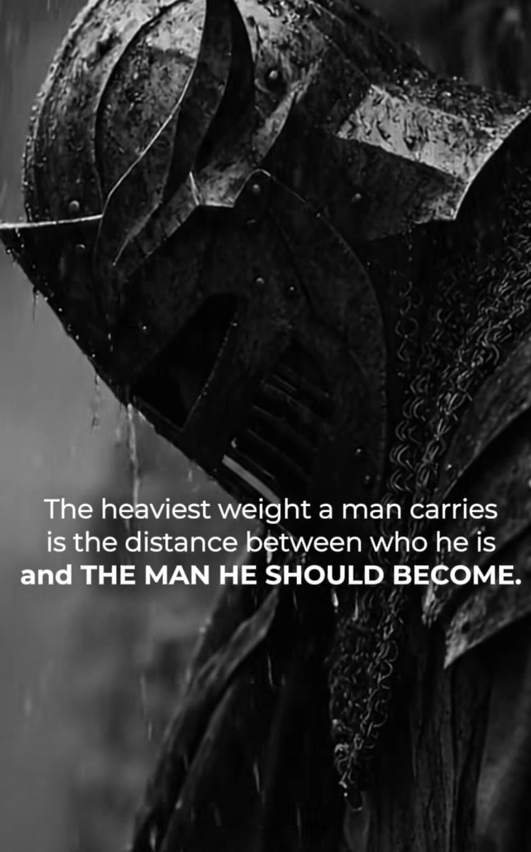 Wolf Tribe Trading tweet media