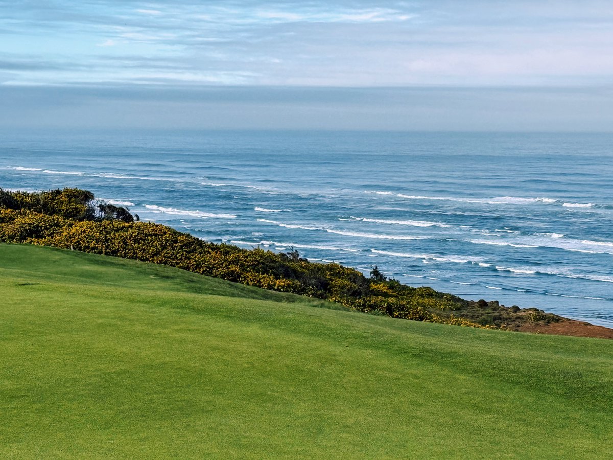 Brian Nemhauser tweet media