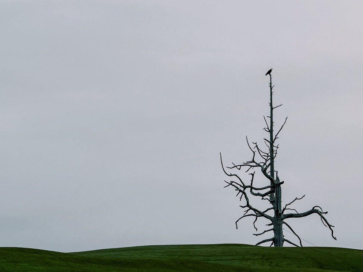 Brian Nemhauser tweet media