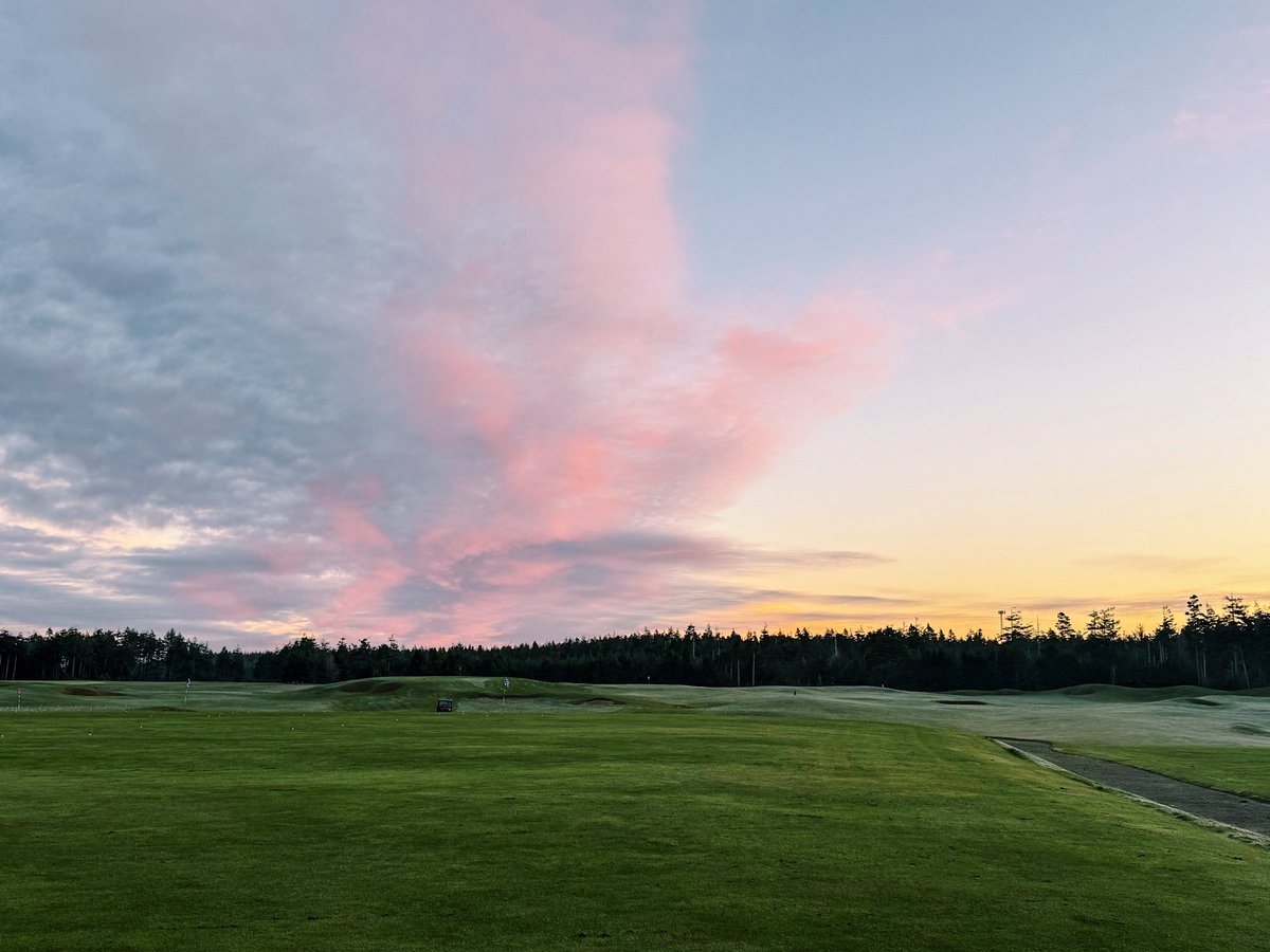 Brian Nemhauser tweet media