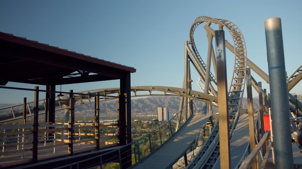 Cow Missing tweet media