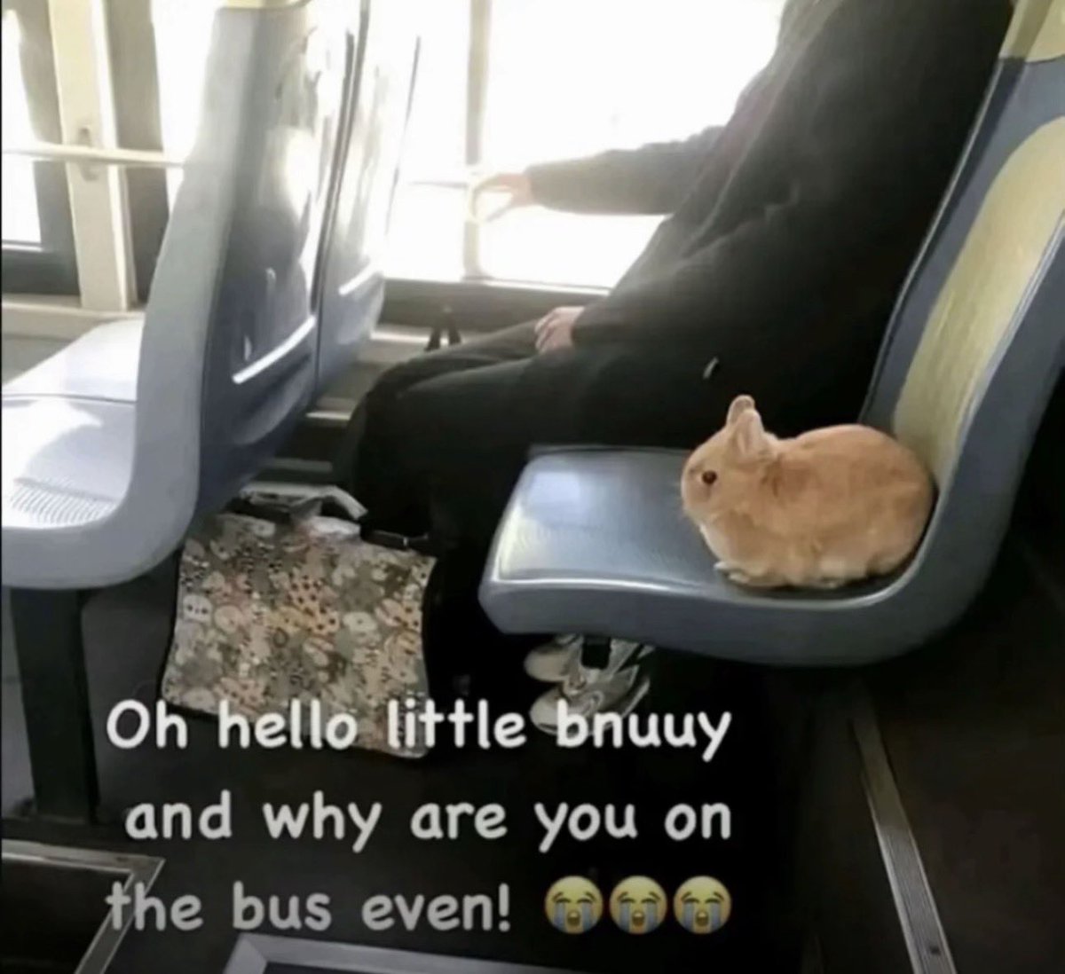 mickey (˵¯̴͒ꇴ¯̴͒˵) 🔞🔞🔞 tweet media