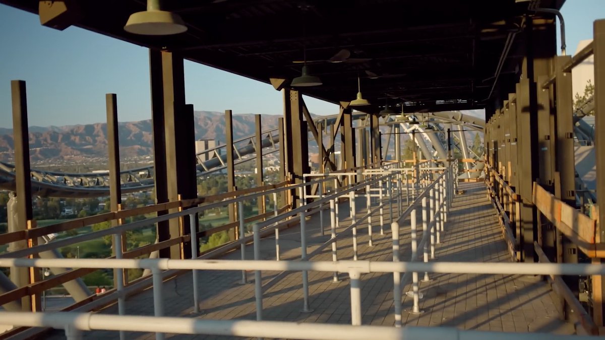 Cow Missing tweet media