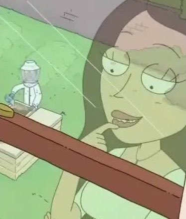 THE ALBATROSS tweet media