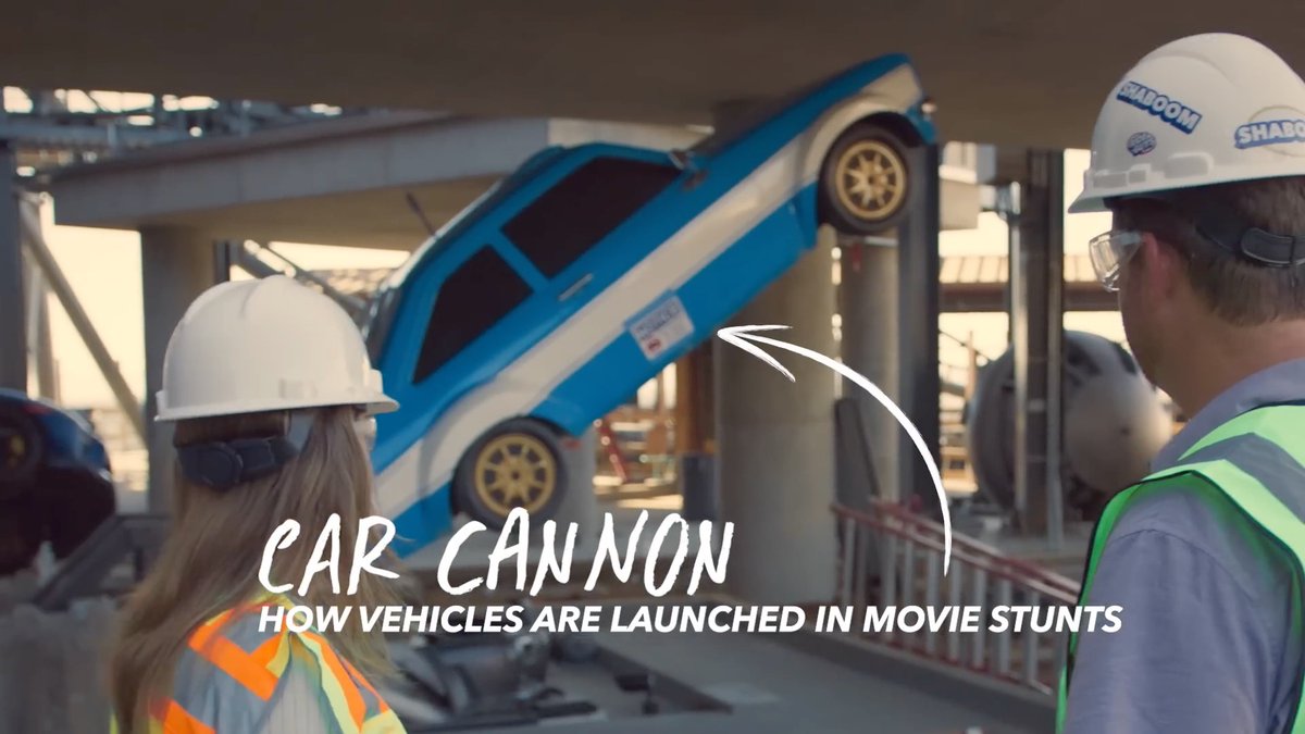 Cow Missing tweet media