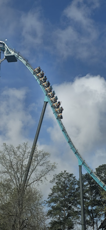 DoctorsTARDIS tweet media