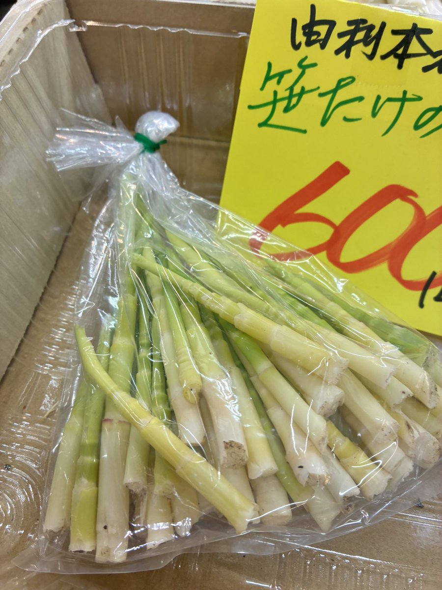 あきた市民市場メイト tweet media