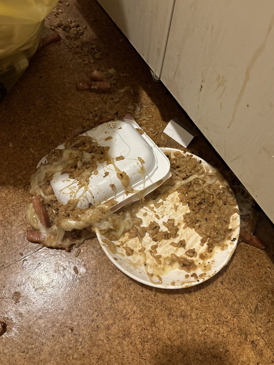 先生おれしにたいです