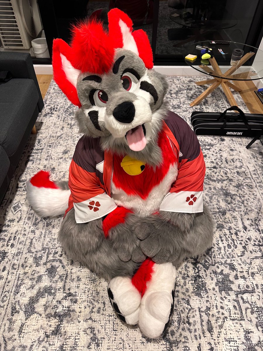 *he sits and look at you* 🐺 🐾 
Would you give my <a href="/ShujjaWuff/">ShujjaFolf</a> pets? ❤️

#FursuitFriday #CuteFolf