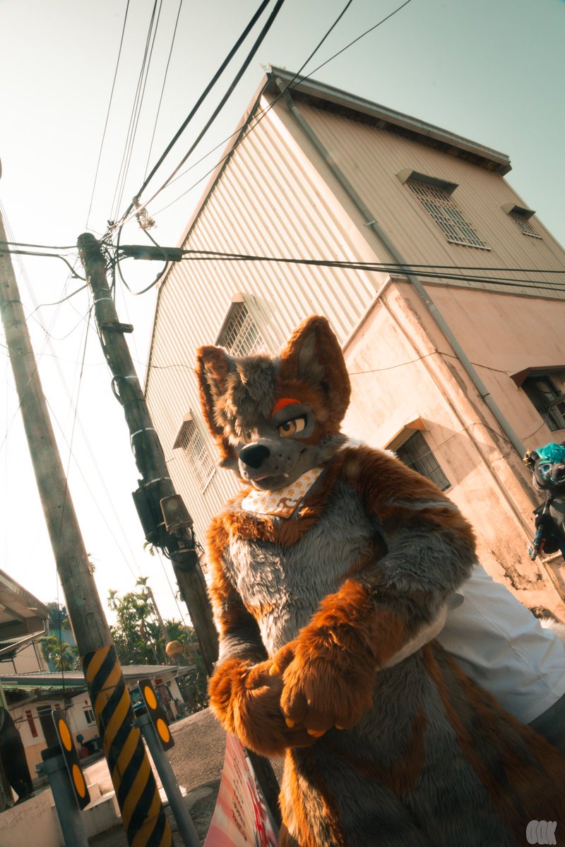 Patto_Rolf's tweet photo. 君を手放せなかったし、忘れることもできなかった

Late #FursuitFriday 
📷：Oak Chen https://t.co/g8eOmjFJuG