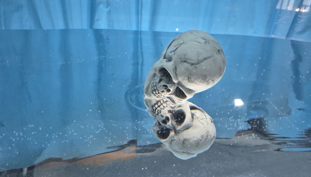 studioripple tweet media