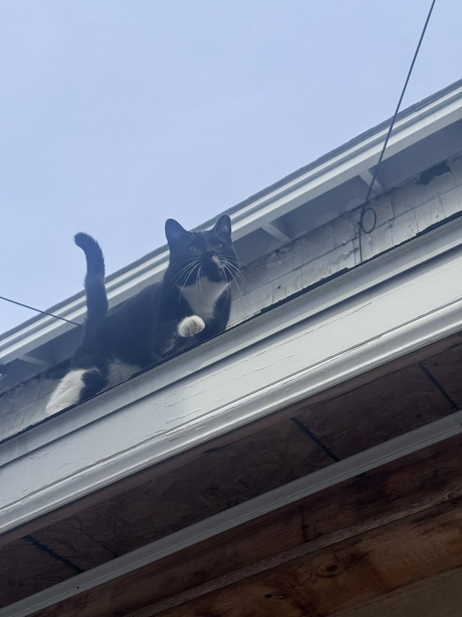 christia tweet media