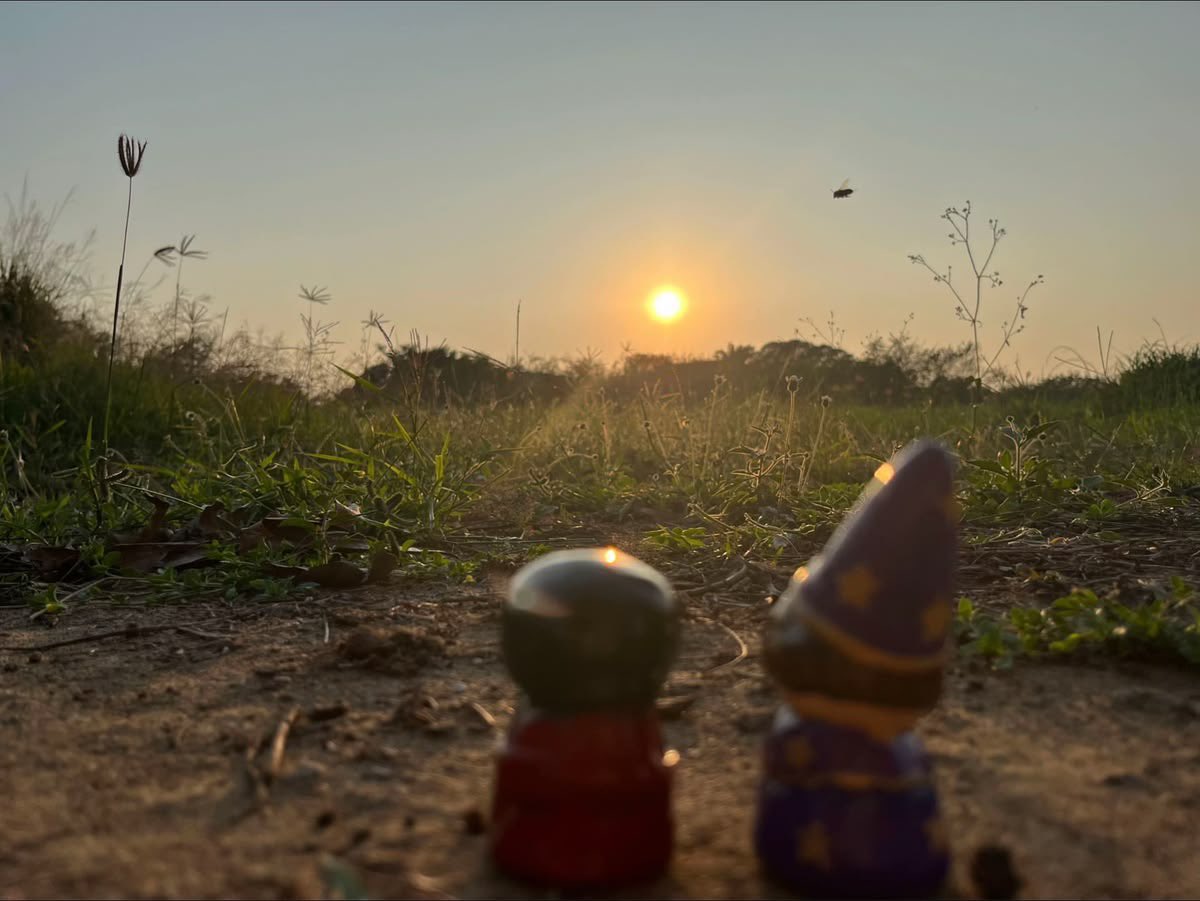 ǝoɾ ♱ tweet media