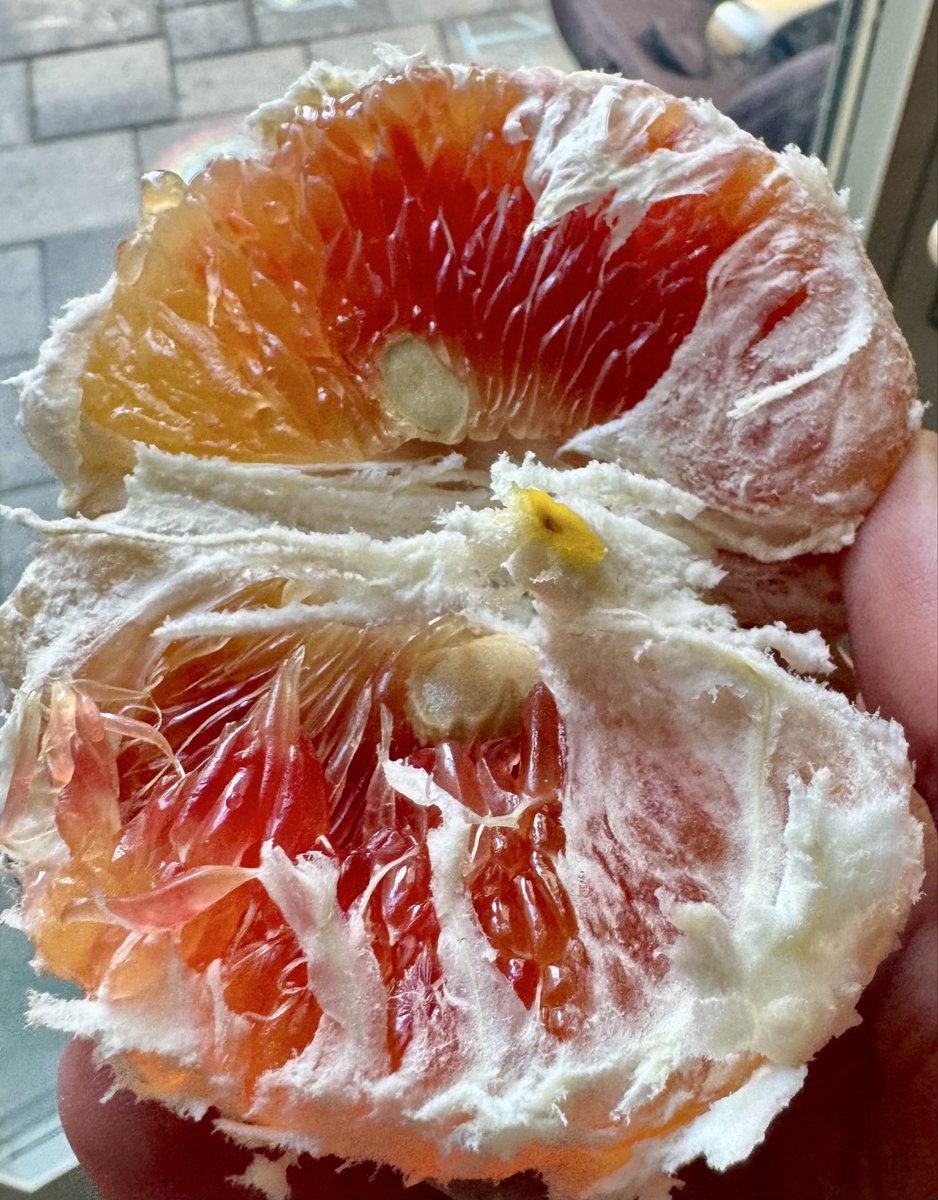 Disgraced Propagandist tweet media