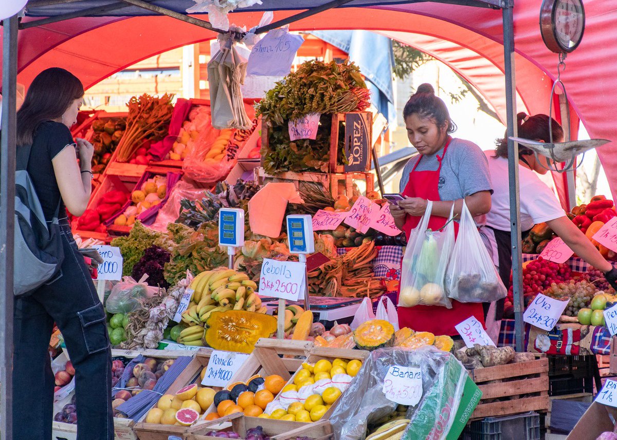 Alfredo Menem tweet media