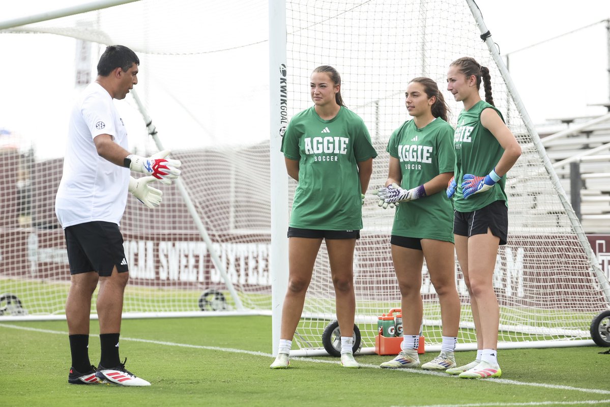 Ali Hanif tweet media