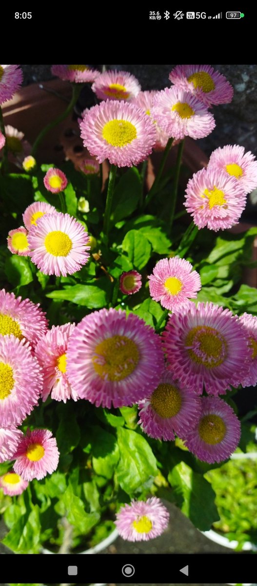 タカコ tweet media