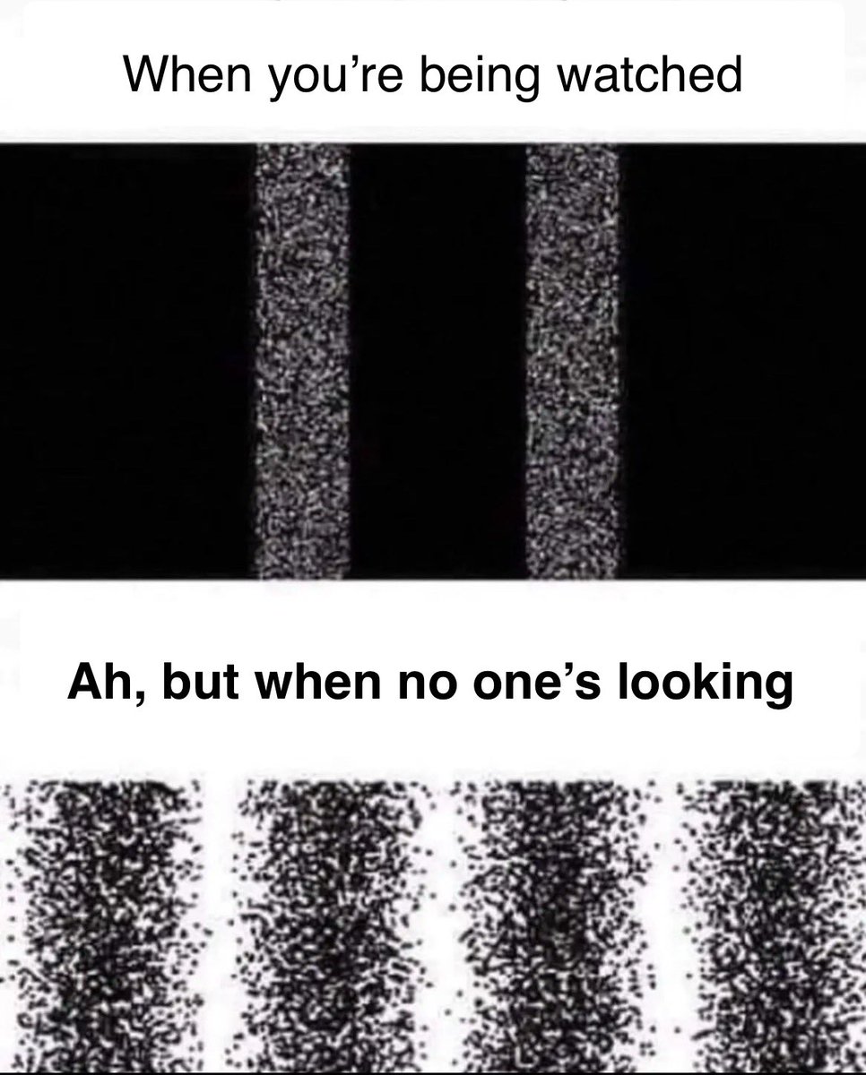 Sparrow ⚔️ tweet media