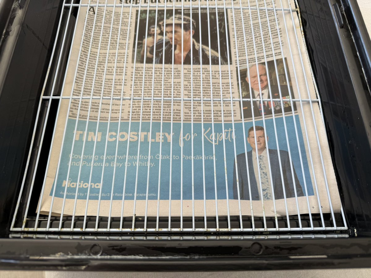 🌼 Random Kiwi 🌼 🇳🇴🇳🇿🇺🇸 tweet media