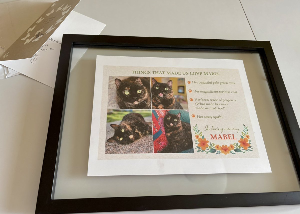 The Snoopervisor 2.0 /Moses (Wilma🌈) tweet media