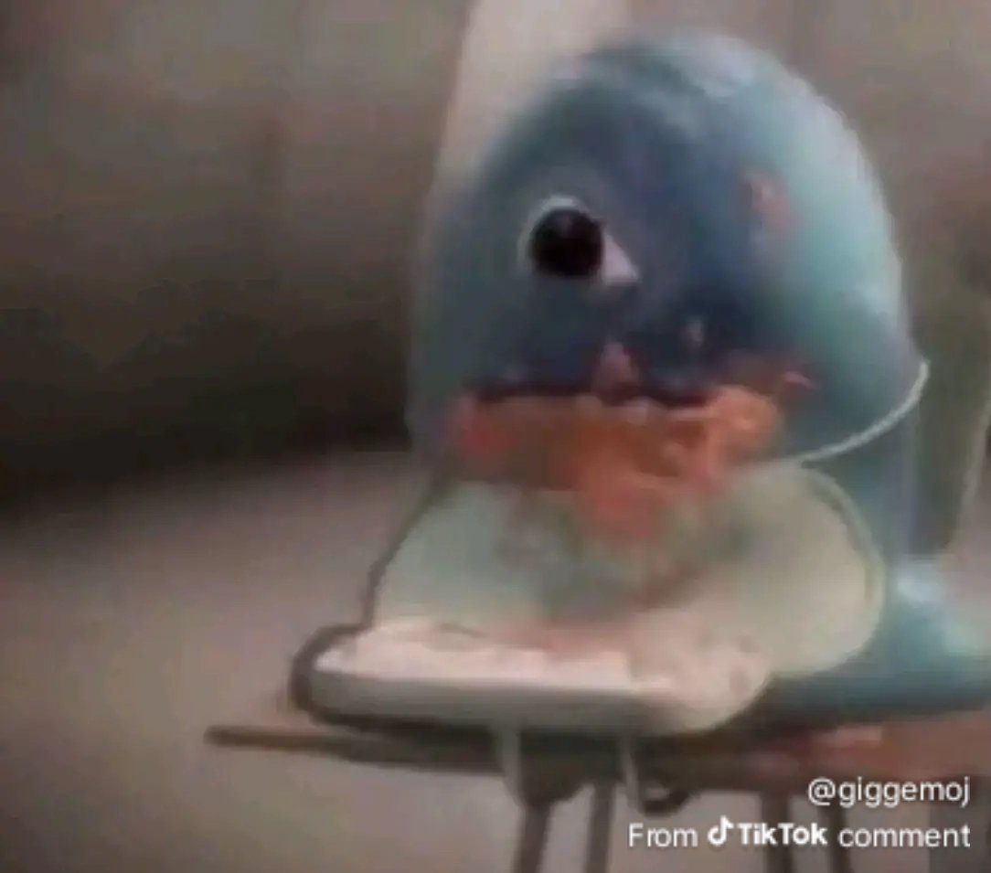 DatHoodieCat tweet media