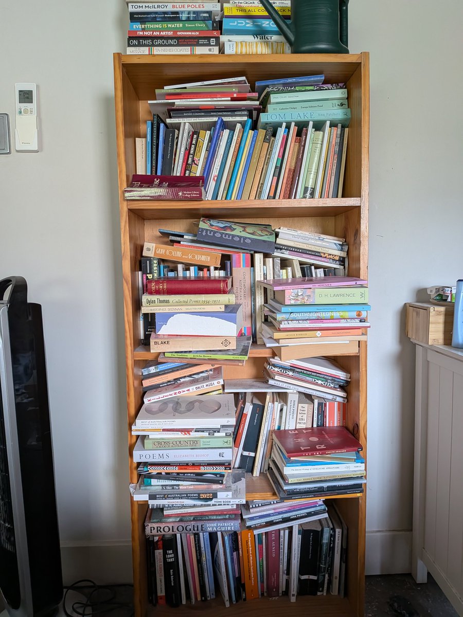 Wayne Bradshaw tweet media