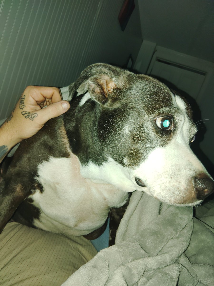 SaltyHeathen_ tweet media