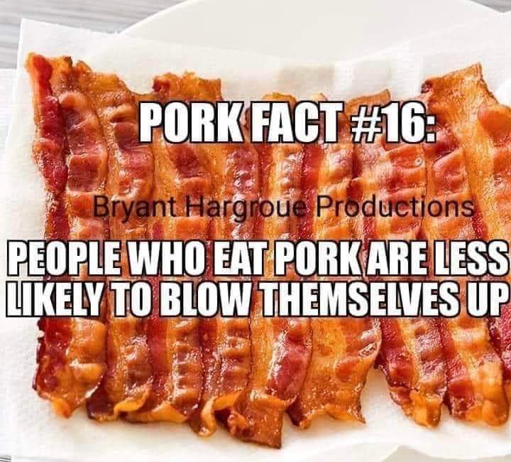 Tom Pilcher 𝕏 🌐 tweet media