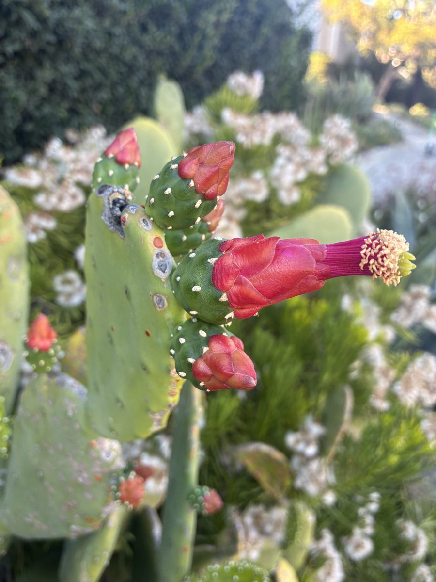 Miles Klee 🐠 🦉 🦂 tweet media