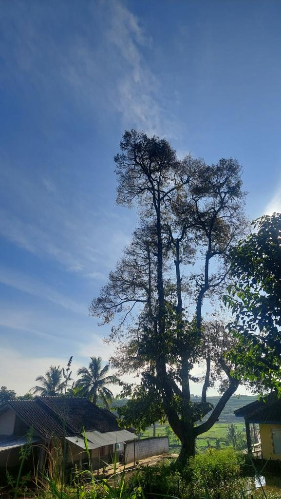 怯み 🍉 tweet media