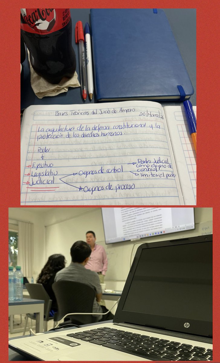 Georgina Pera Bernés tweet media