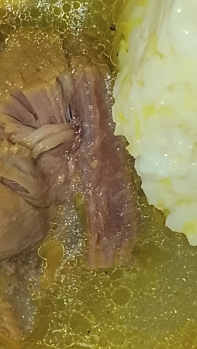 Ɔobııǝ🐊🎀Odǝn Ǝdıʇınƃ•••₍^. ̫.^₎⟆ tweet media