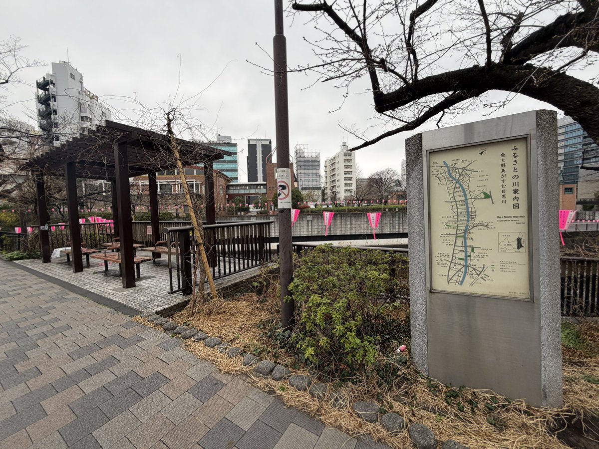 かおる。 tweet media