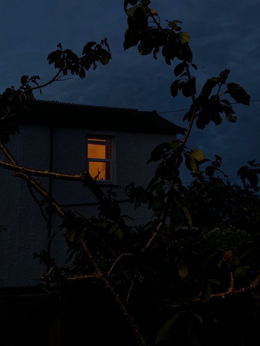 Robinxhoney tweet media