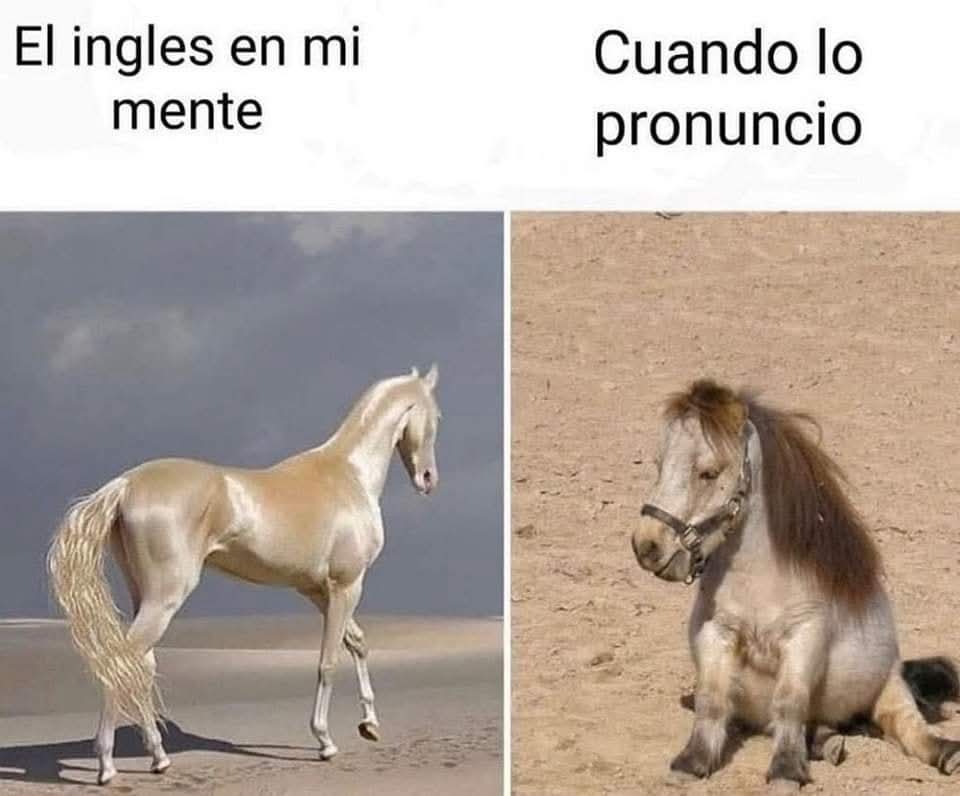 Animalitos en aprietos. tweet media