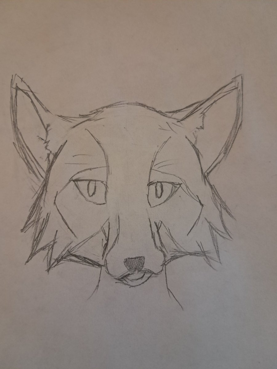 Littlest Sister Riley 🏳️‍⚧️ tweet media