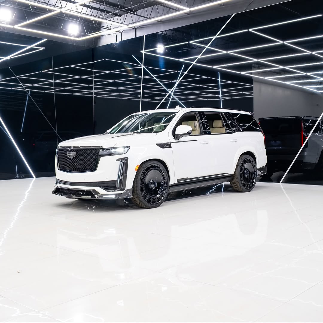 Prime Torque tweet media