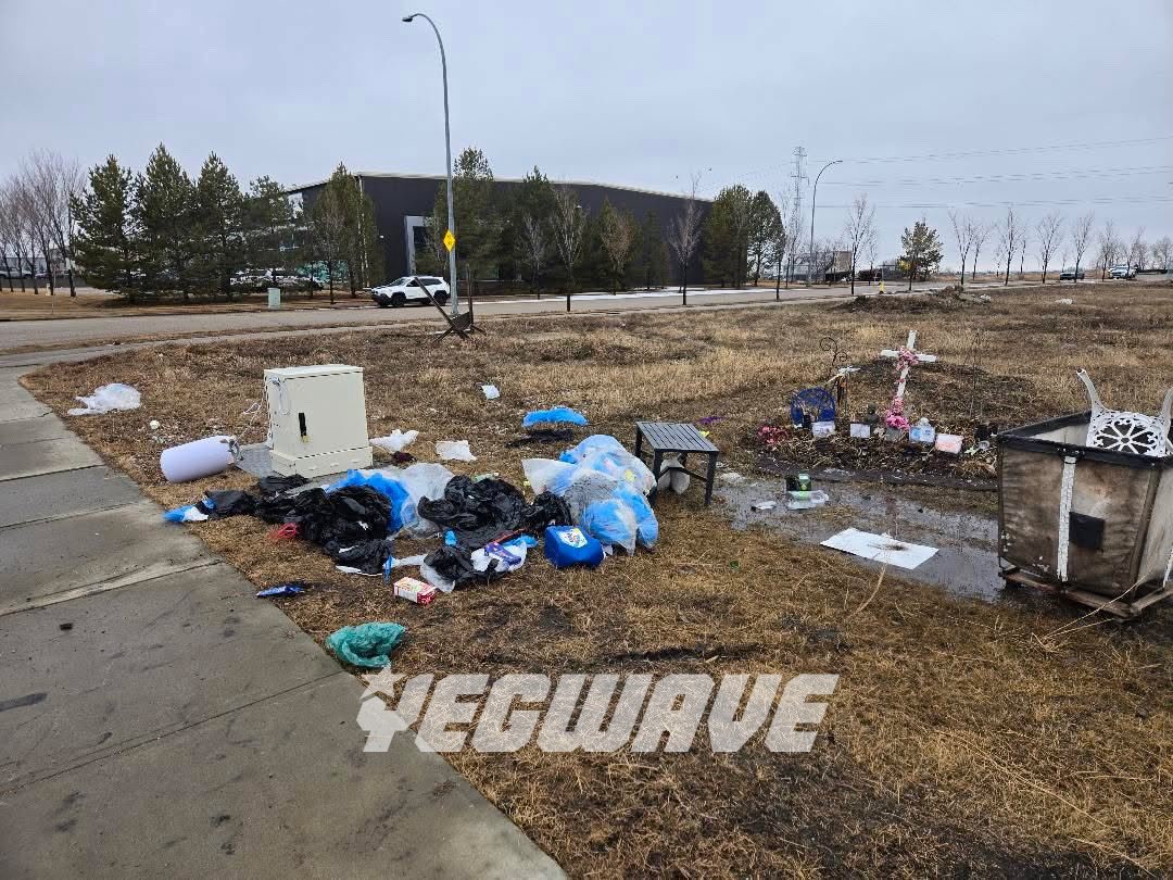 YEGWAVE tweet media