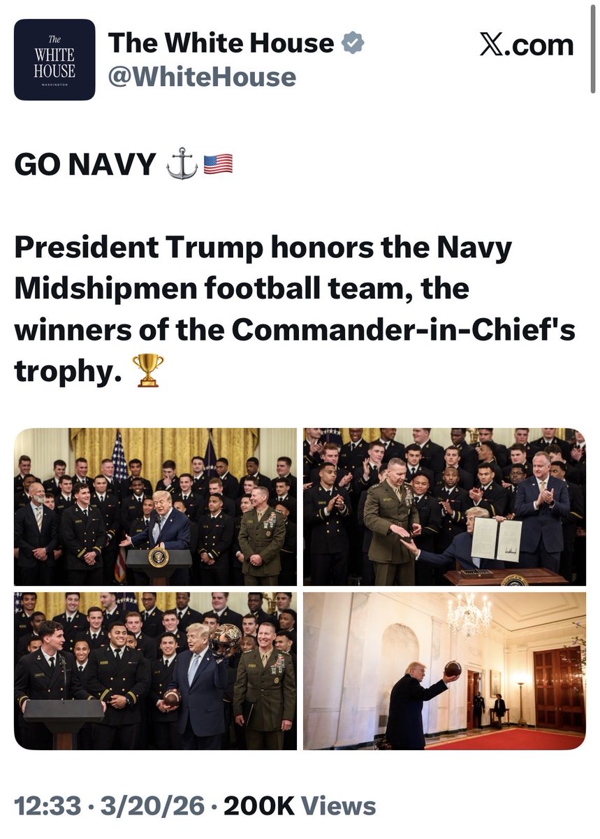 JustLikeGizmo tweet media