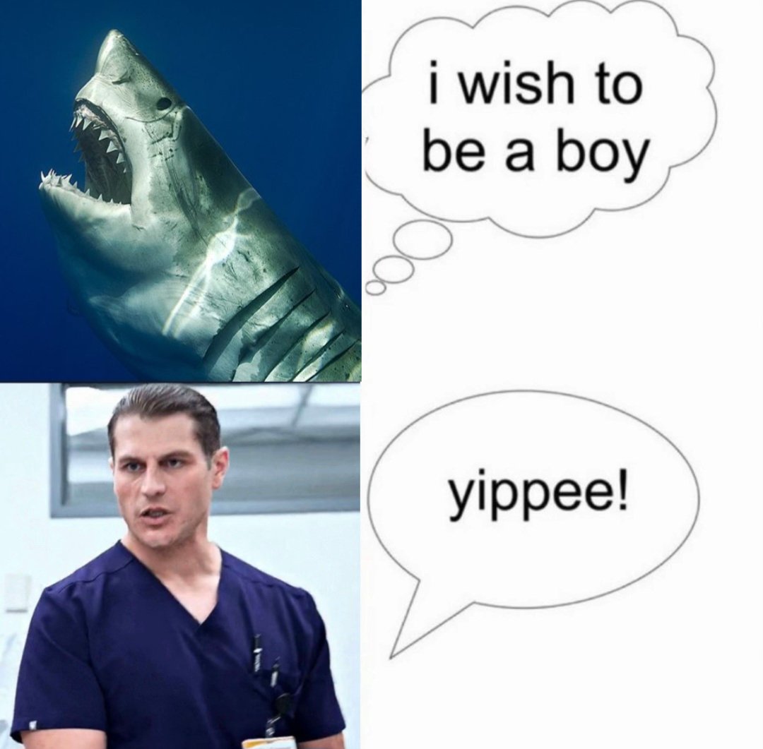 🌙 :: SAN :: tweet media