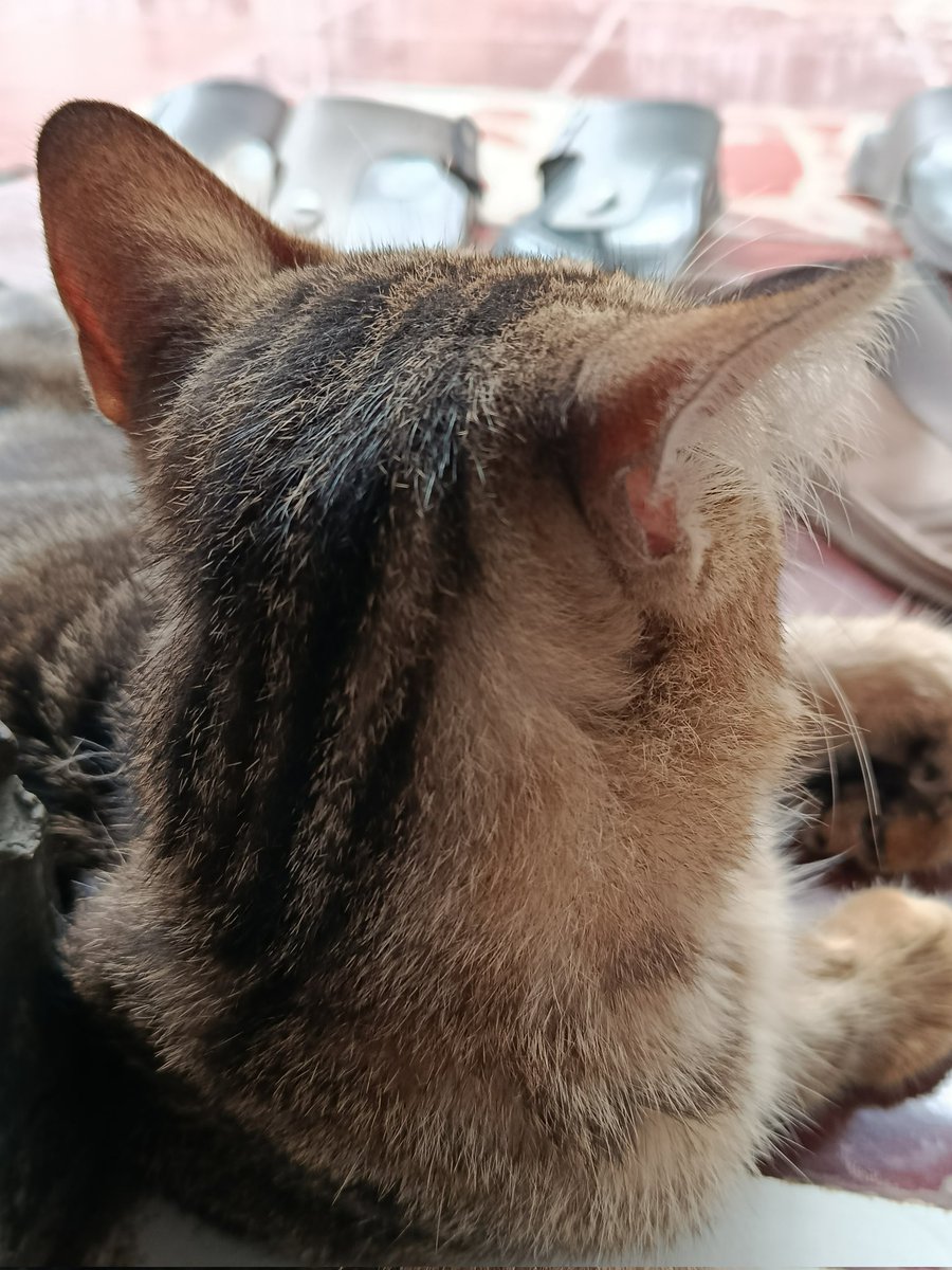 The vins tweet media