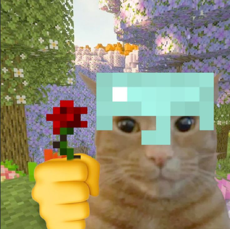 Ritsu ☃️ AURA FORCE tweet media