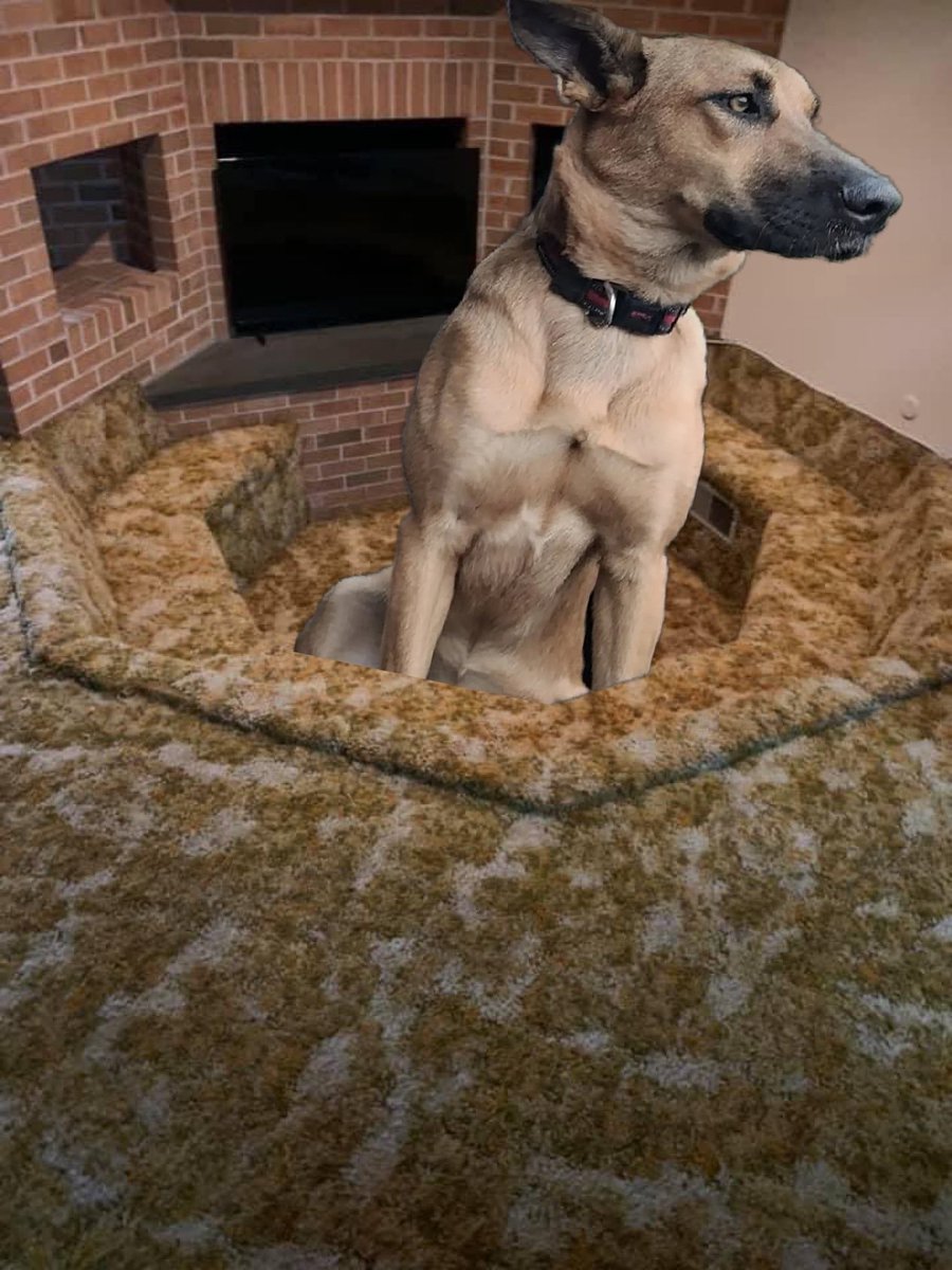 Not Adam tweet media