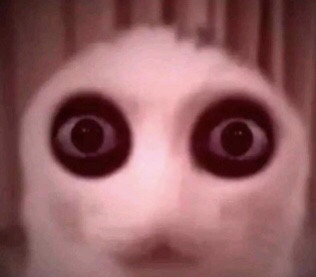 A.R.M.Sじゃない tweet media